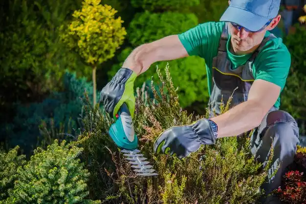 landscaping services Bernie